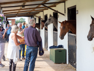 CG010924-81 - Chris Gordon Stable Visit